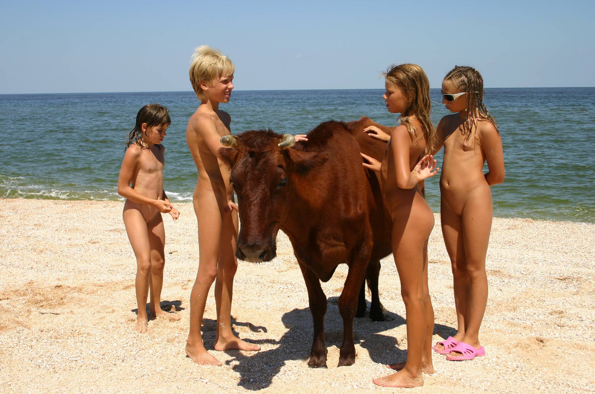 Purenudism Pics Animal Meets the Beach - 1