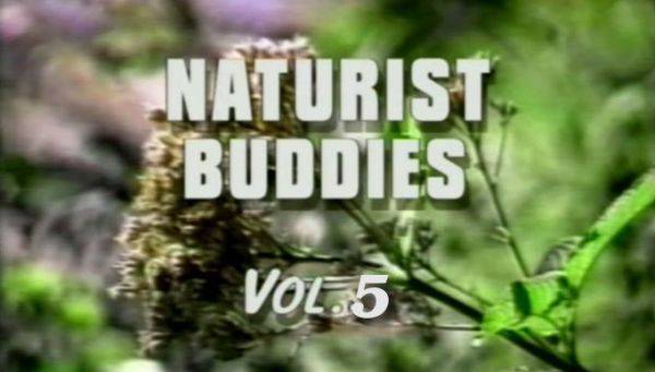 Naturist buddies vol.5 - Poster