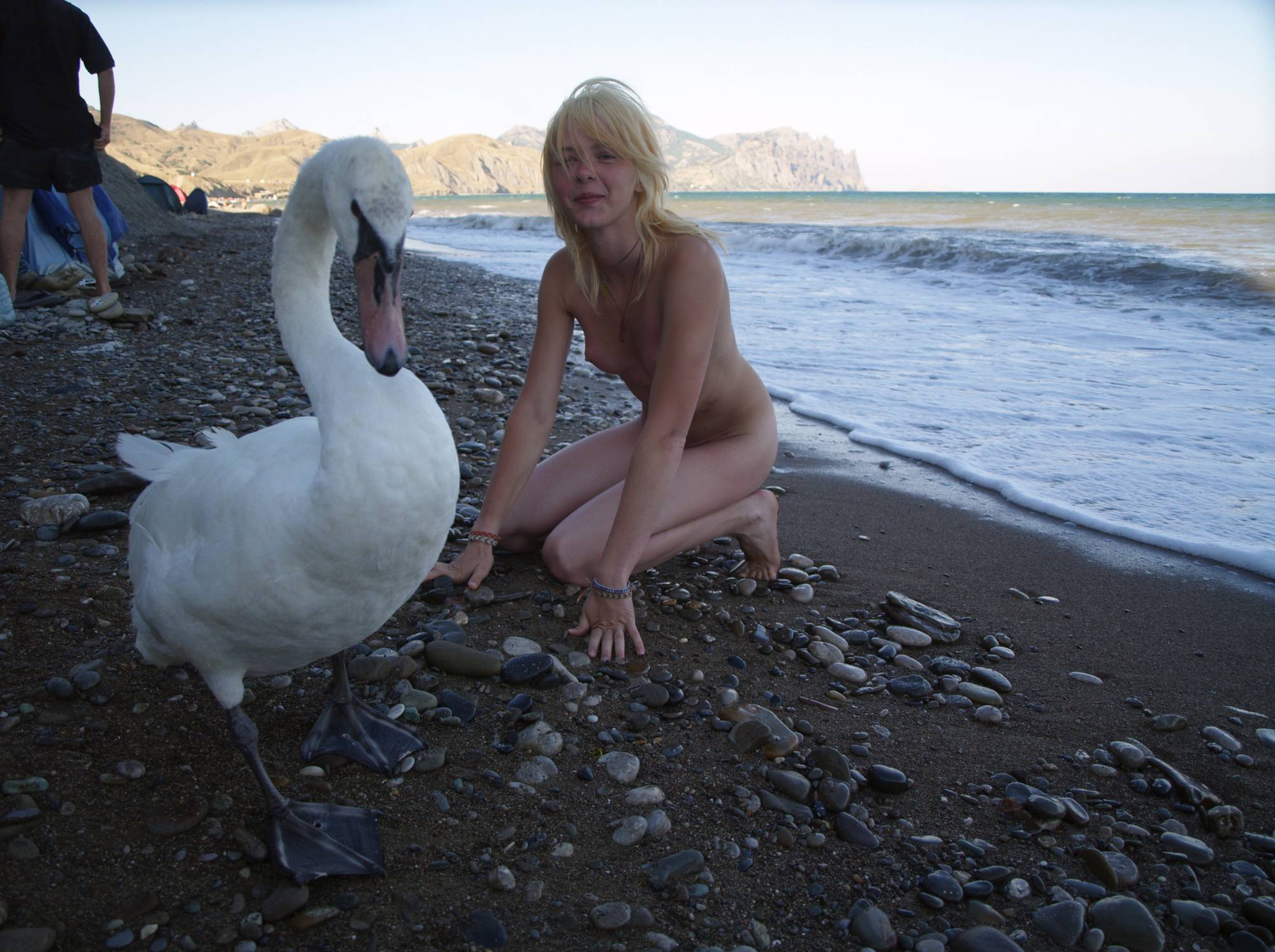 Nude Ocean Swan Beauty - 2
