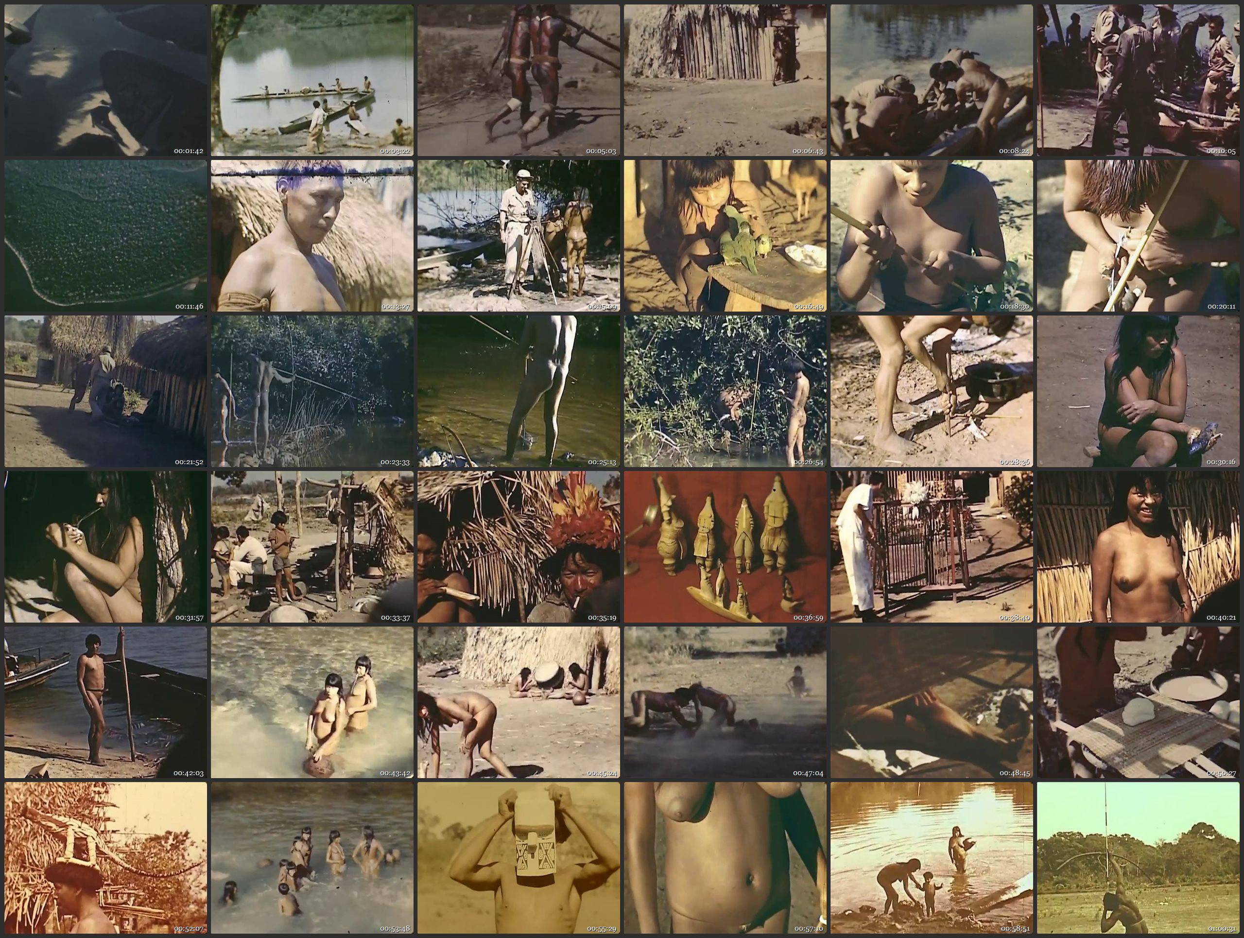 Other Nudist Videos Xingu Indians - Expedition to rainforests of Brazil in 1948 - Thumbnails