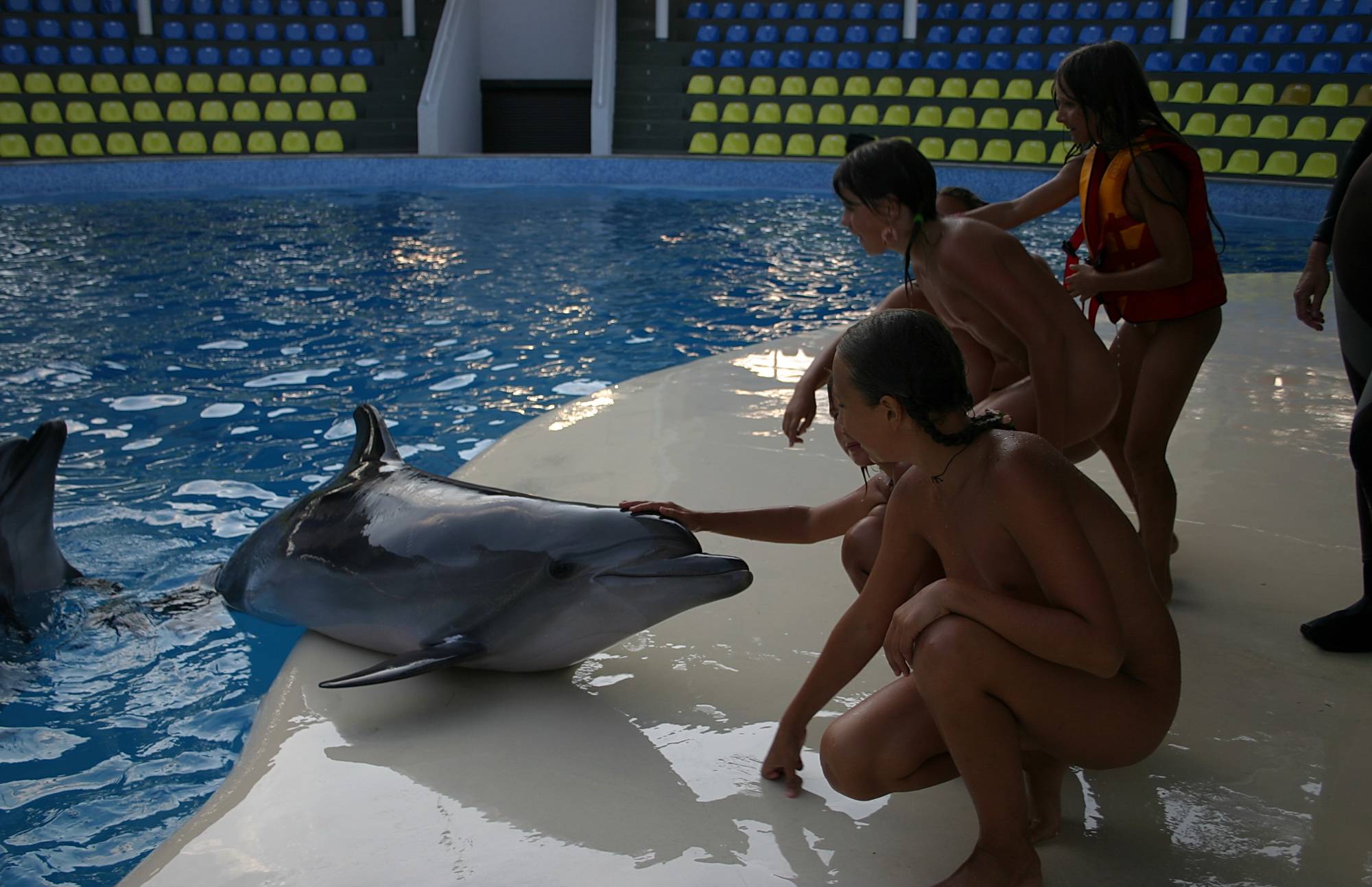 Our Families and Dolphins - 1
