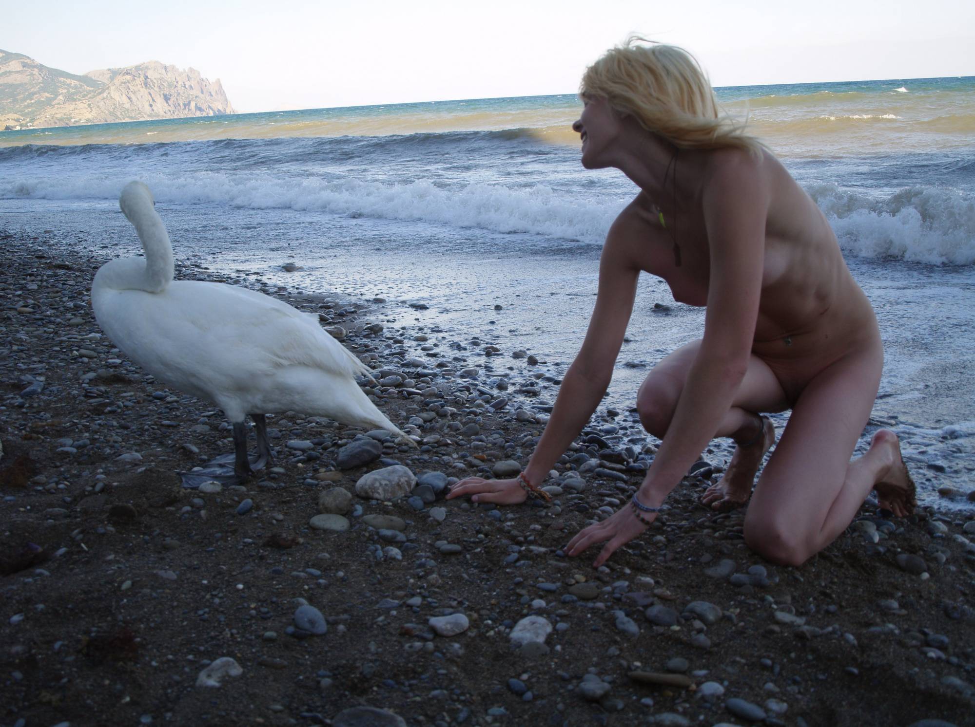 Purenudism Pics Nude Ocean Swan Beauty - 1